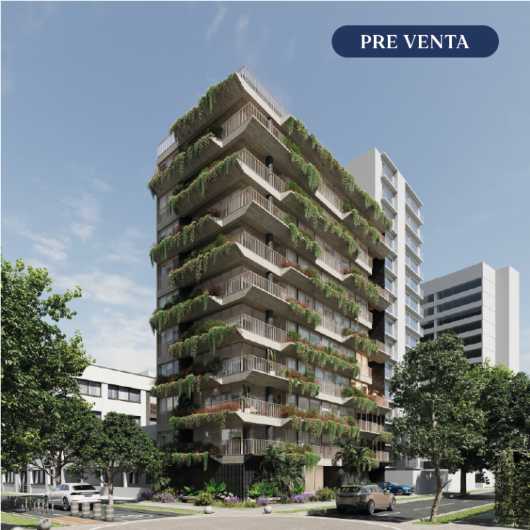 proyectos web-02
