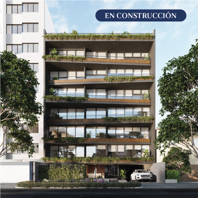 proyectos web OCT 25_Mesa de trabajo 1